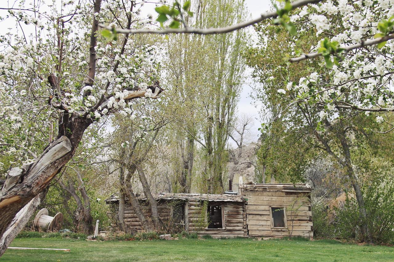 Baker Hidden Canyon Retreat מראה חיצוני תמונה